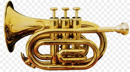 Музыкальный инструмент Cornet