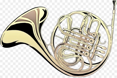 French Horn музыкальный инструмент