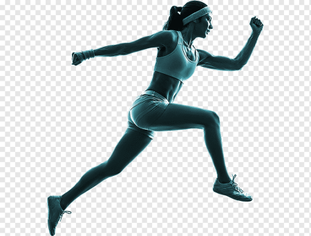 Спорт пдф