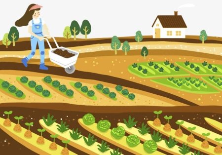 Огород с овощами для детей