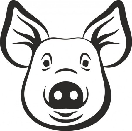 Очертание свиньи