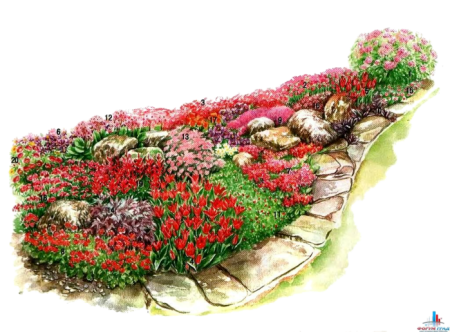 Клумба с калиной бульденеж схема