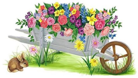 Цветы клумба клипарт
