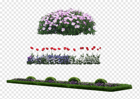Цветочные кустарники для детей