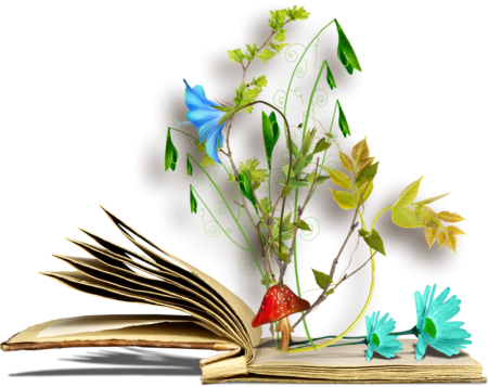 Книга с цветком на прозрачном фоне