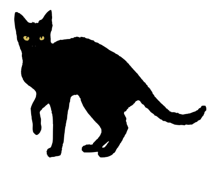 Черная кошка