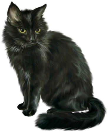 Чёрный кот