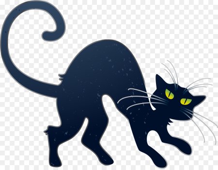 Черная кошка на белом фоне