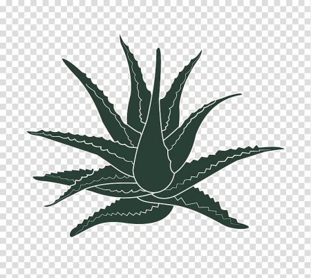 Лист алоэ иконка