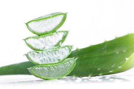 Aloe Vera nature 119х60х10 см