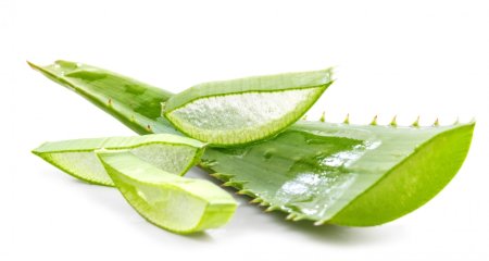 Aloe barbadensis Leaf Juice