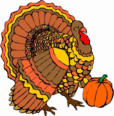 Turkey индюк for Kids
