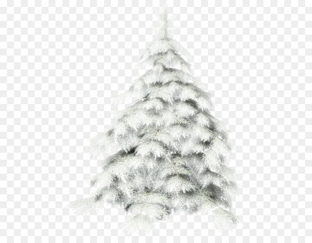 Елка в снегу