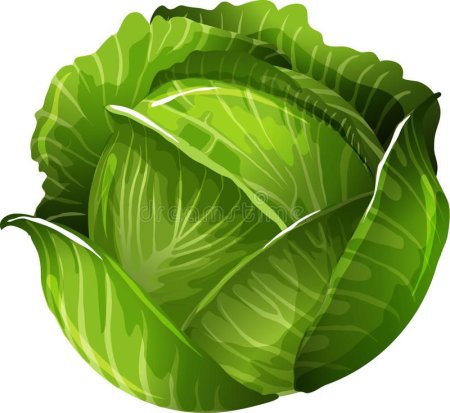 Векторная капуста