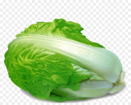Romaine пекинская капуста