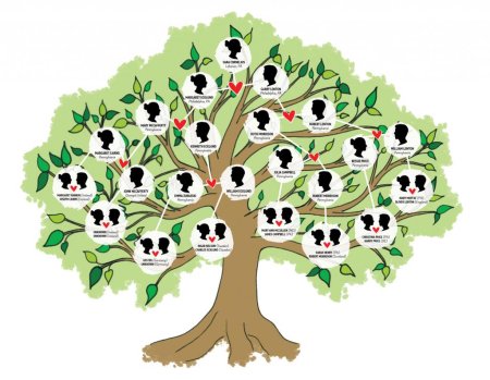 Генеалогическое Древо Family Tree