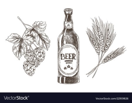 Пиво Хмель вектор