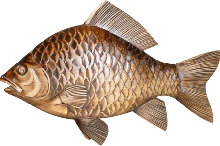 Карп и тилапия