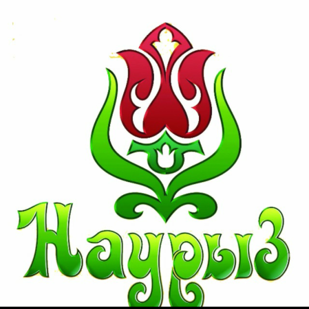 Тюльпаны баннер