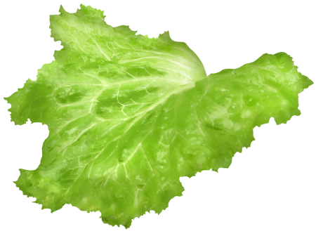 Листья салата
