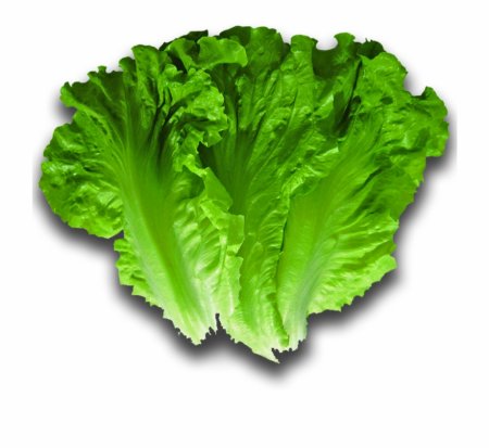 Листья салата