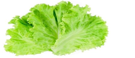 Салатный лист вид сверху