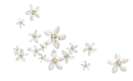Белые цветы для фотошопа