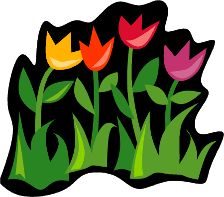 WMF Векторная Графика