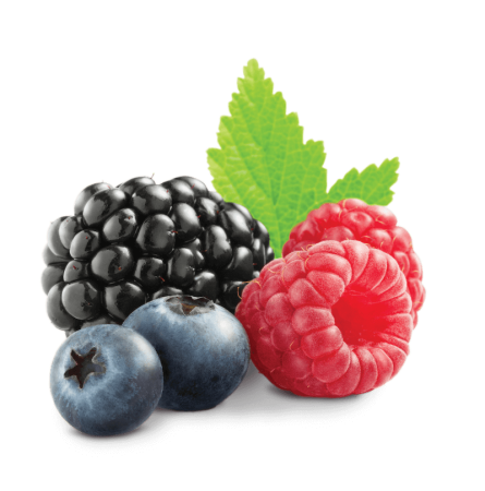 Forest Berries Mix - Лесные ягоды