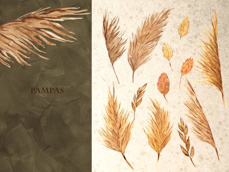 Boho Pampas grass Watercolor
