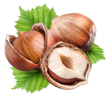 Фундук Трапезунд