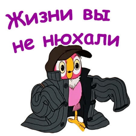 Наклейки попугай Кеша