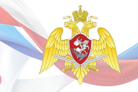 Орел войск национальной гвардии