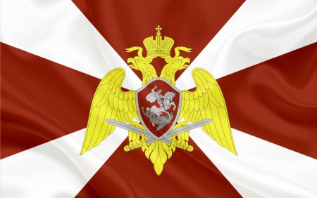 Флаг ФСВНГРФ