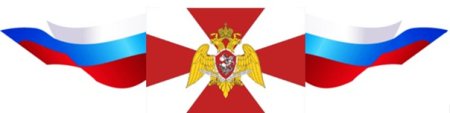 Флаг войск национальной гвардии