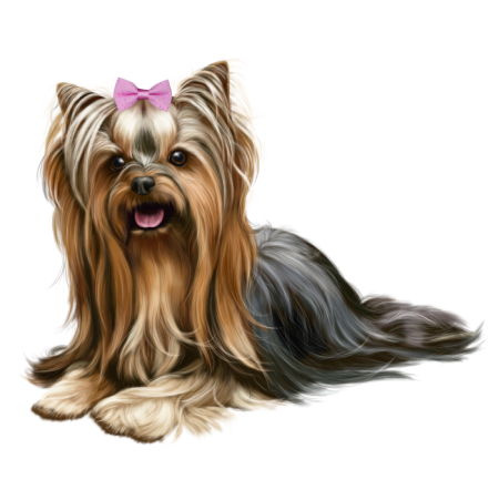 Йоркширский терьер арт