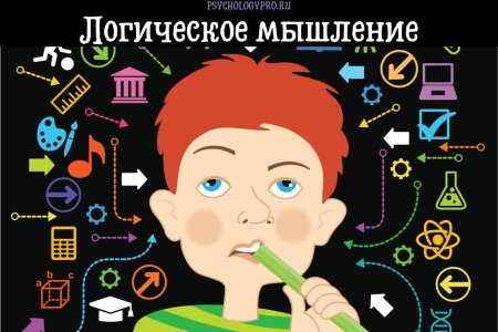 Словесно-логическая память
