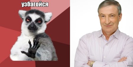Лемур узбагойся Мем