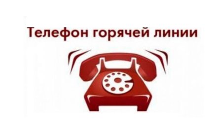 Горячая линия рисунок