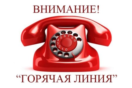 Горячая линия