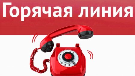 Горячая линия иконка