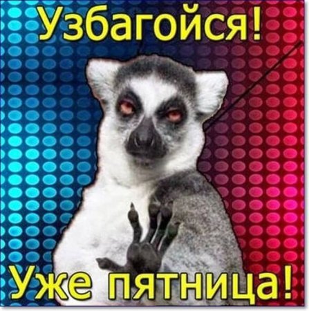 Узбагойся уже пятница