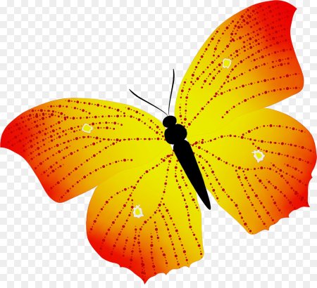 Желтая бабочка клипарт (48 фото)