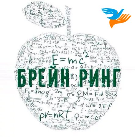 Брейн ринг зона риска