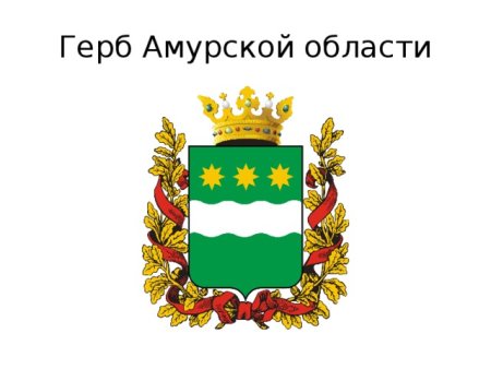 Контур Амурской области