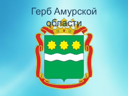 Амурская область карта контур