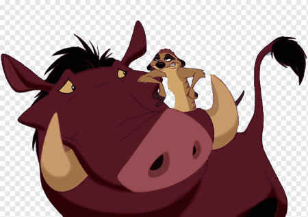 Timon and Pumbaa Shenzi