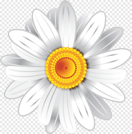 Camomile Ромашка
