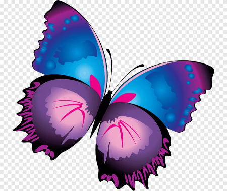 Бабочки фиолетовые клипарт (44 фото)
