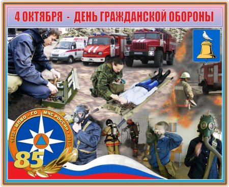 Роза ветров МЧС России